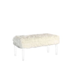 20 Inch Faux Fur Nailhead Storage Bench with Acrylic Leg
